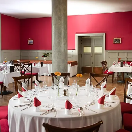 Karolyi Kastely & Restaurant מלון