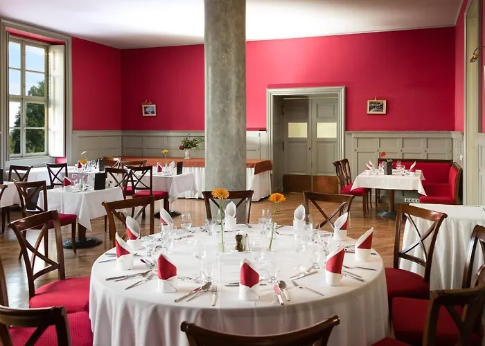 Karolyi Kastely & Restaurant מלון
